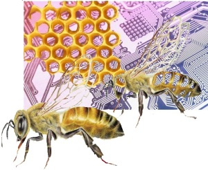2 bees tech
